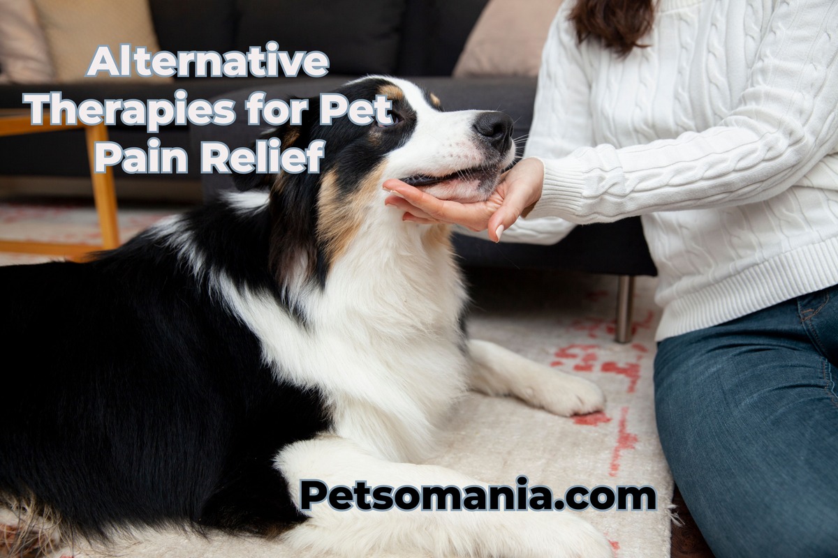 Alternative Therapies for Pet Pain Relief: Home Remedies