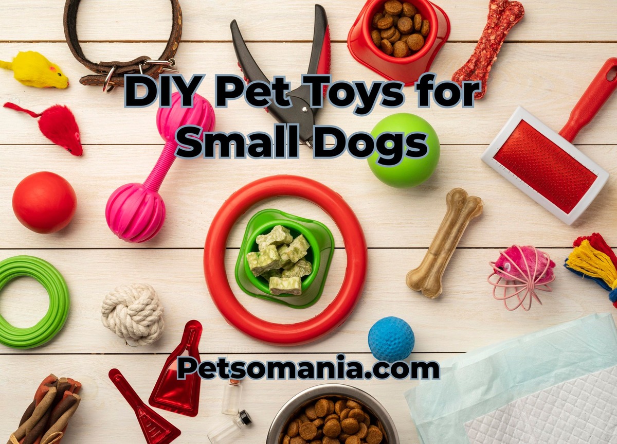 DIY Pet Toys for Small Dogs: Easy to Make DIY Dog Toys