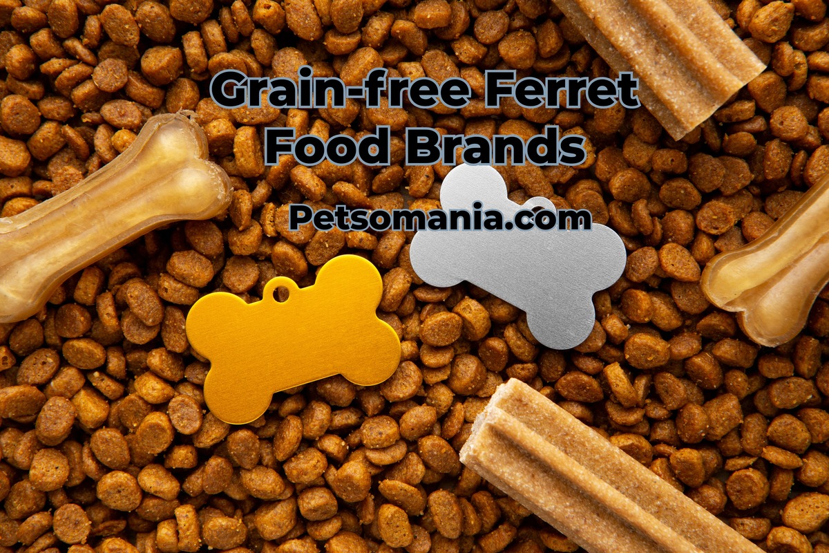 Grain-free Ferret Food Brands