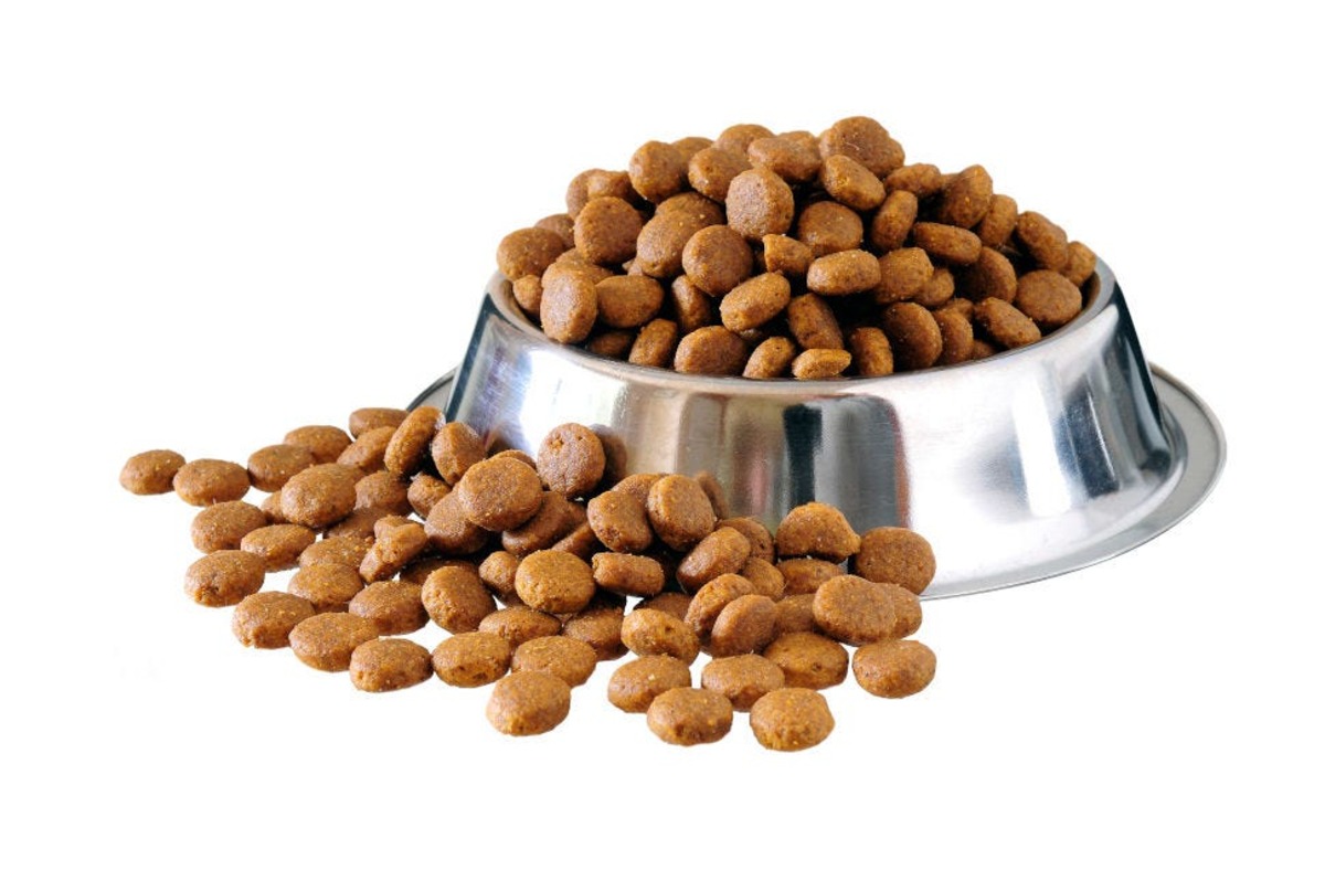 Low-cast grain-free dog food options: best grain-free dog food grain