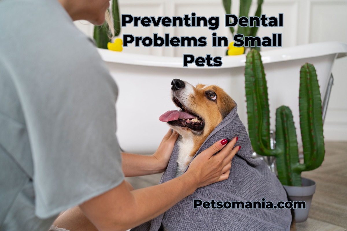 Preventing Dental Problems in Small Pets: Preventing Disease